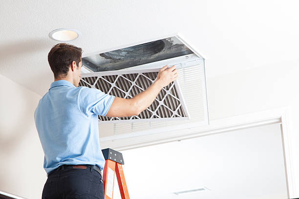 Best HVAC air duct cleaning  in Cutten, CA